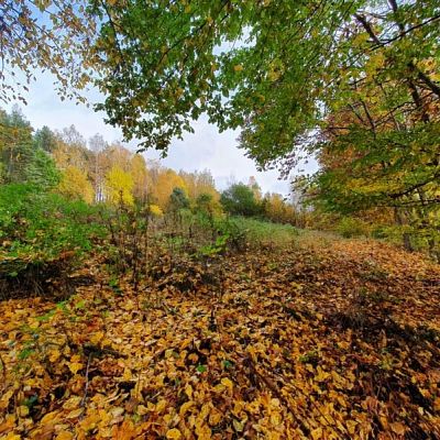 SPRZEDAŻ na DZIAŁKA w Koszalin